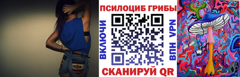 купить закладку Абинск Псилоцибиновые грибы прущие грибы
